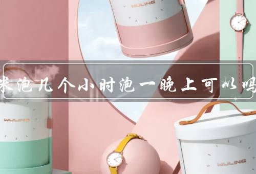 粽子米泡几个小时泡一晚上可以吗