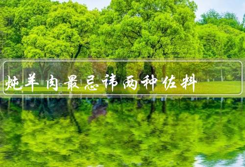 炖羊肉最忌讳两种佐料