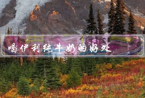 喝伊利纯牛奶的好处