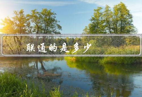 联通的是多少