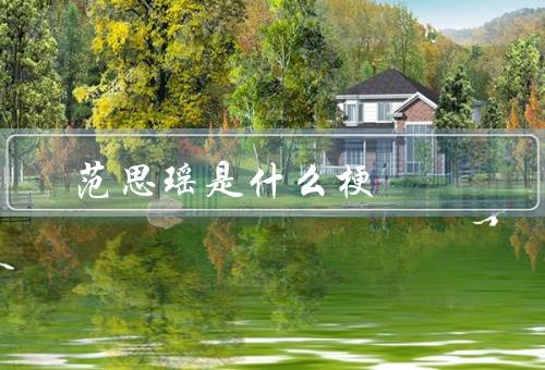 范思瑶是什么梗