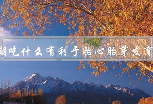 孕早期吃什么有利于胎心胎芽发育