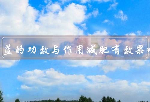羽衣甘蓝的功效与作用减肥有效果吗