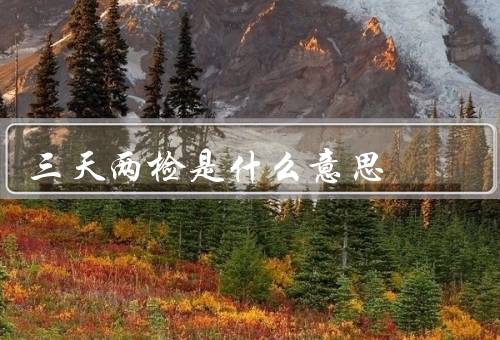 三天两检是什么意思