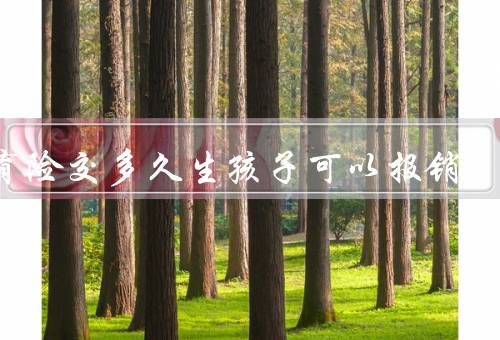 生育险交多久生孩子可以报销，6个月（12个月包销标准的100%）