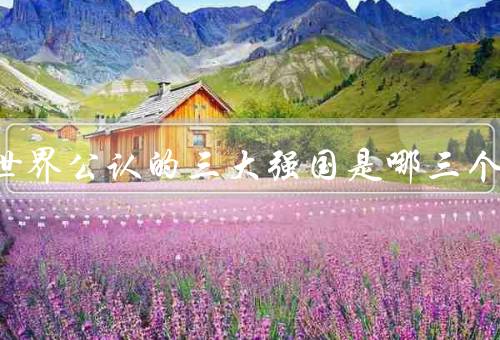 2023世界公认的三大强国是哪三个，中／美／俄（发展速度最快）