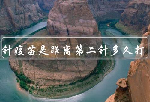 第三针疫苗是距离第二针多久打