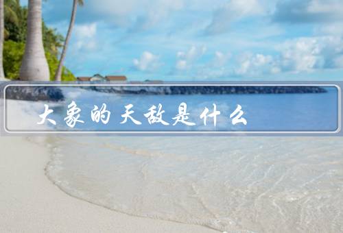 大象的天敌是什么