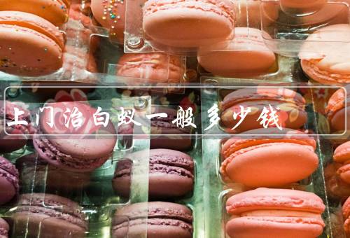 上门治白蚁一般多少钱