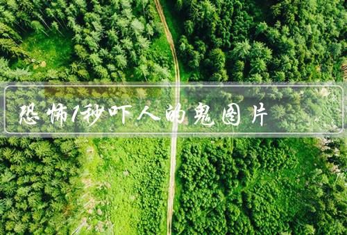 恐怖1秒吓人的鬼图片