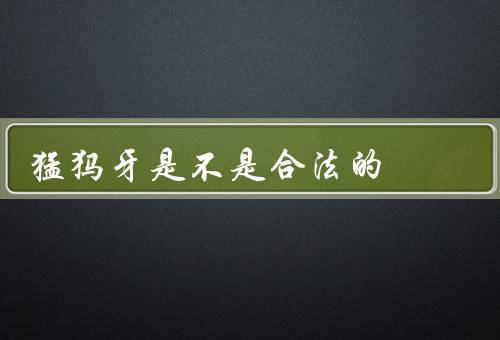 猛犸牙是不是合法的