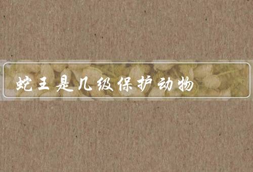 蛇王是几级保护动物 二级保护动物，特征／生态价值／保护重要性