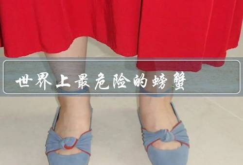 世界上最危险的螃蟹