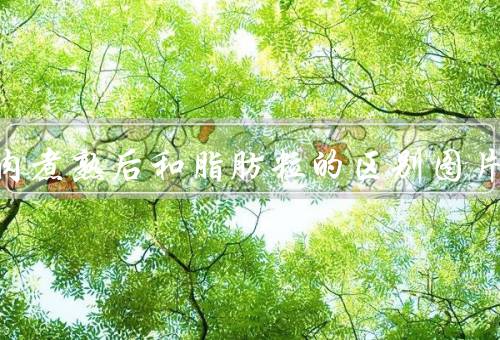 米猪肉煮熟后和脂肪粒的区别图片