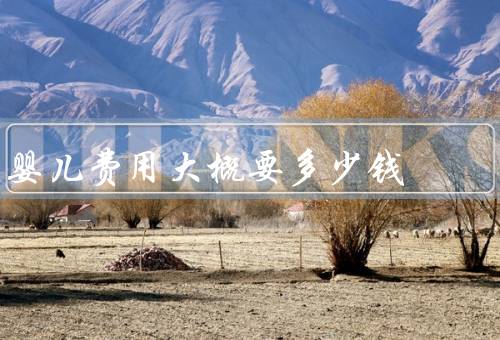 婴儿费用大概要多少钱