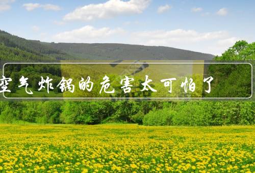 空气炸锅的危害太可怕了