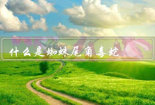 什么是蜘蛛尾角毒蛇