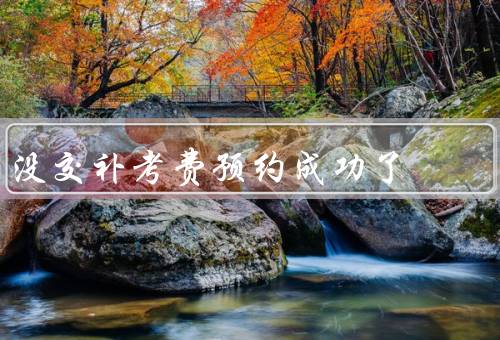 没交补考费预约成功了