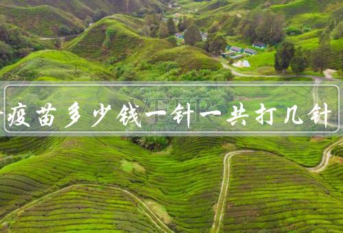 二价疫苗多少钱一针一共打几针
