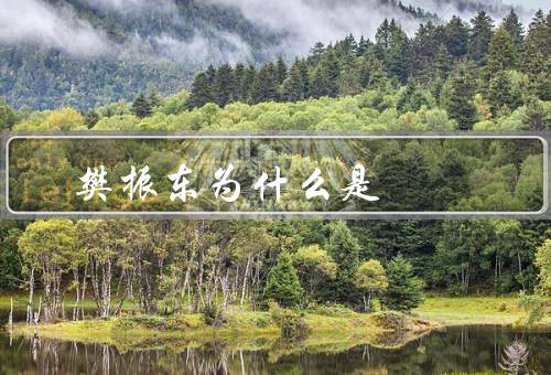 樊振东为什么是