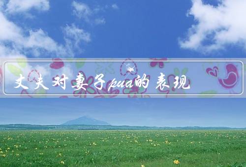 丈夫对妻子pua的表现