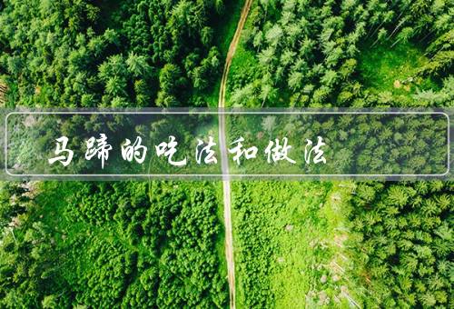 马蹄的吃法和做法