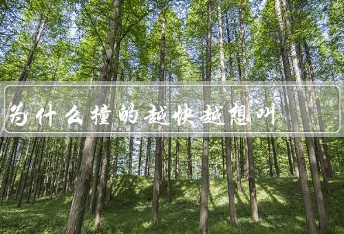 为什么撞的越快越想叫