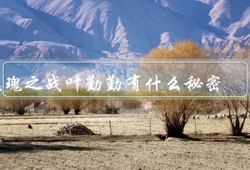 玫瑰之战叶勤勤有什么秘密