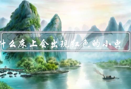 为什么床上会出现红色的小虫
