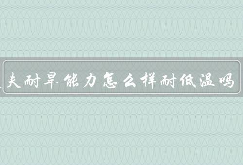 清道夫耐旱能力怎么样耐低温吗