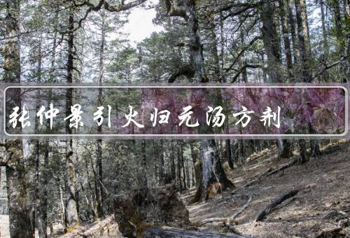 张仲景引火归元汤方剂