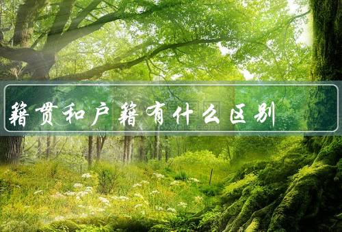 籍贯和户籍有什么区别