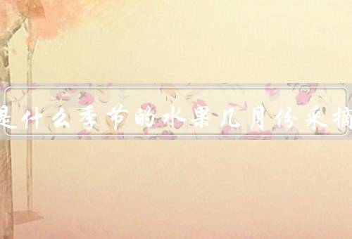 草莓是什么季节的水果几月份采摘