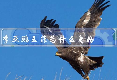 李亚鹏王菲为什么离婚