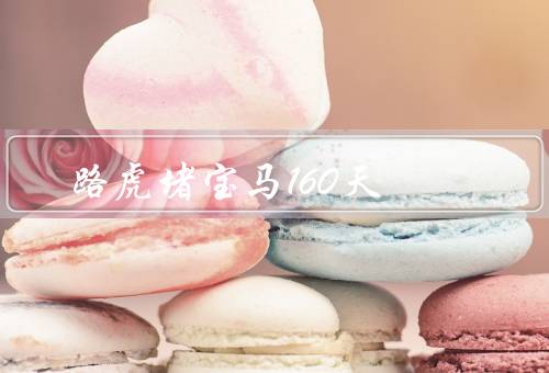 路虎堵宝马160天