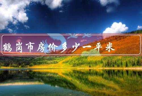 鹤岗市房价多少一平米