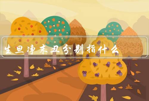 生旦净末丑分别指什么