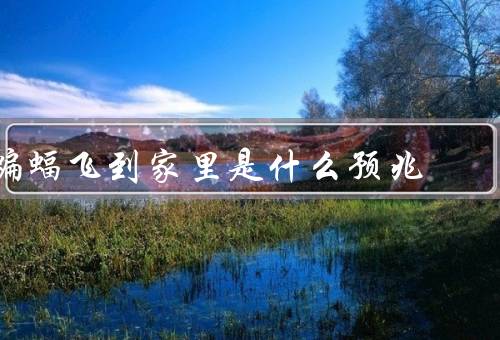 蝙蝠飞到家里是什么预兆