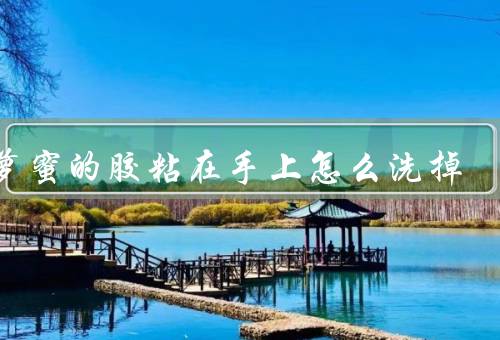 菠萝蜜的胶粘在手上怎么洗掉