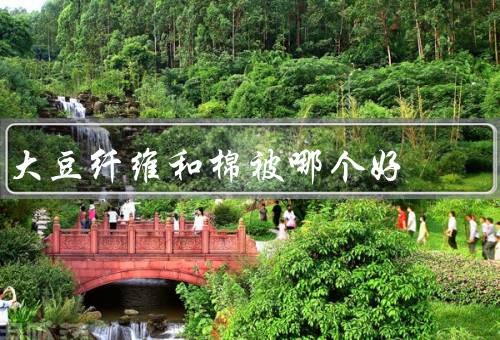 大豆纤维和棉被哪个好