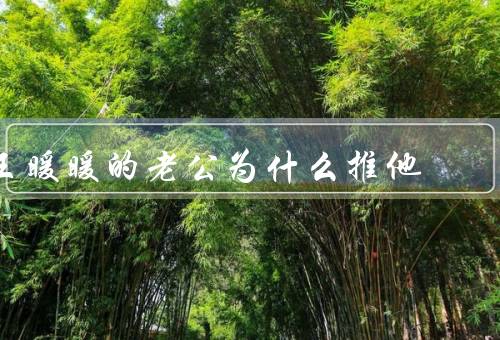 王暖暖的老公为什么推他