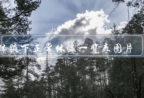 人体腋下正常体温一览表图片