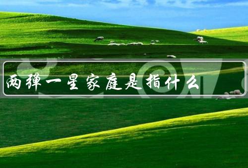 两弹一星家庭是指什么