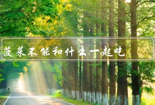 菠菜不能和什么一起吃