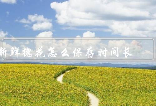 新鲜槐花怎么保存时间长
