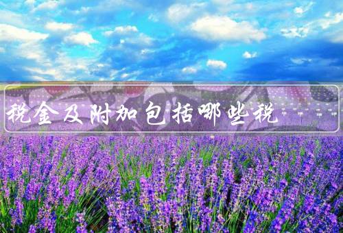税金及附加包括哪些税