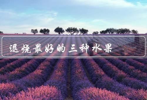 退烧最好的三种水果