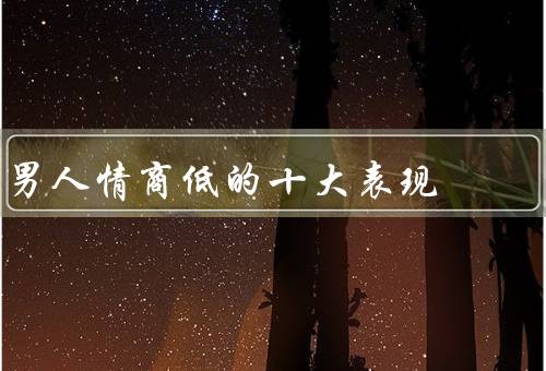 男人情商低的十大表现