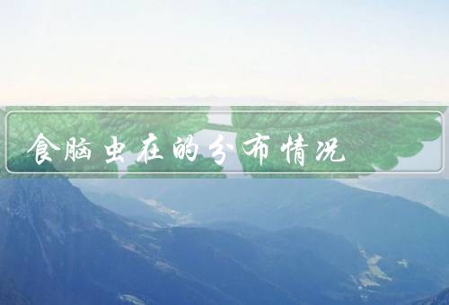 食脑虫在的分布情况