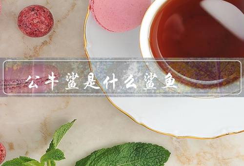 公牛鲨是什么鲨鱼